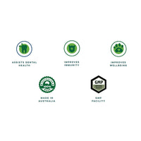 Vetactiv8 Dental Health Dog Supplement