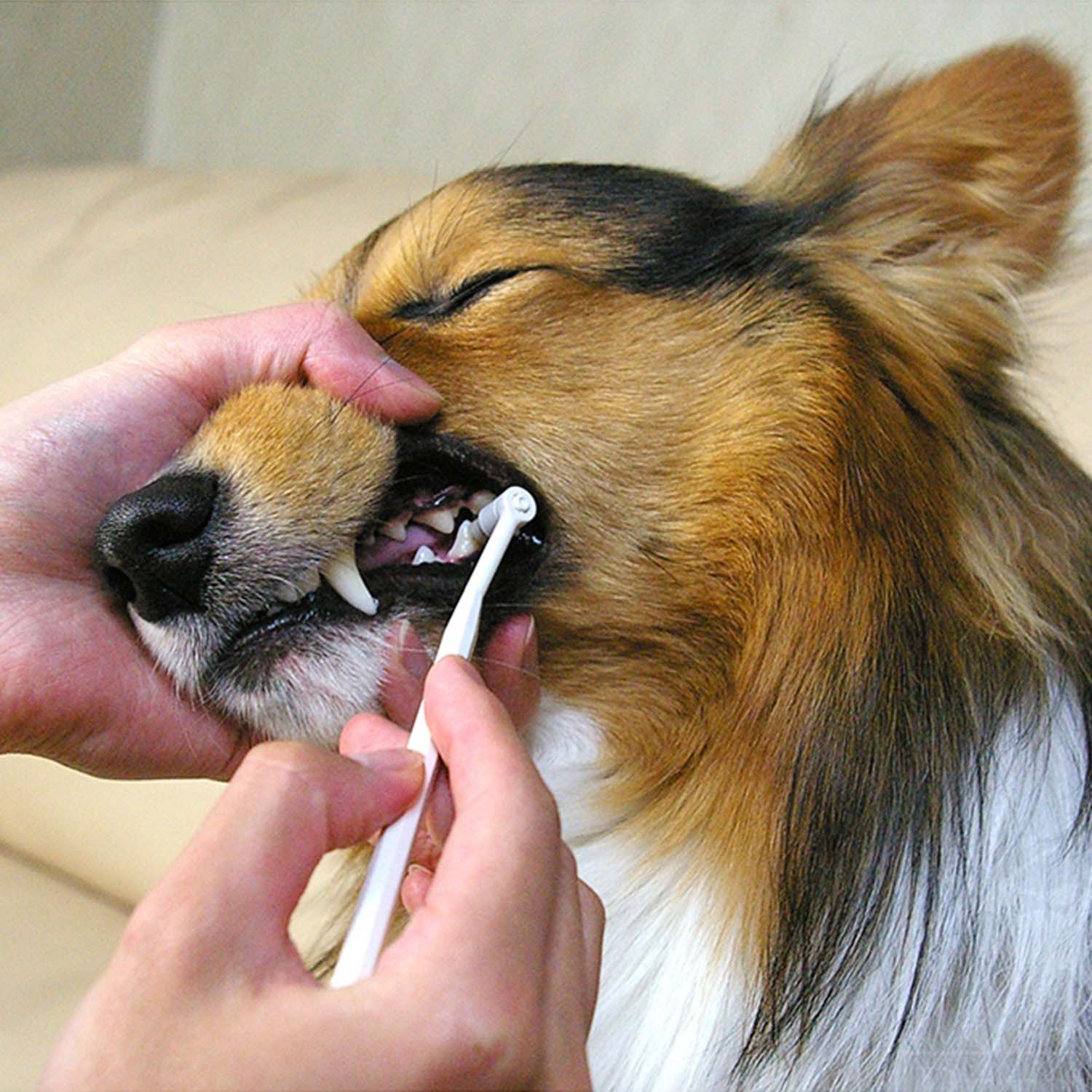 Mind Up Whitening Tooth Cleaner