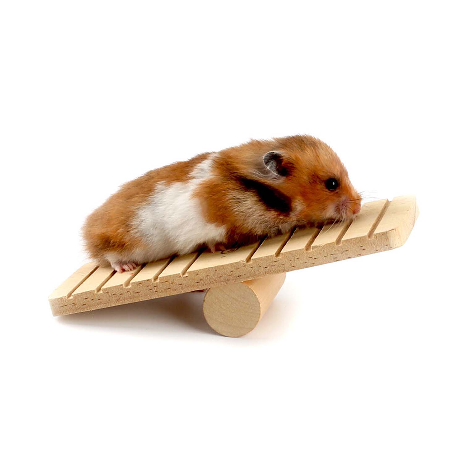 Carno Hamster Seesaw