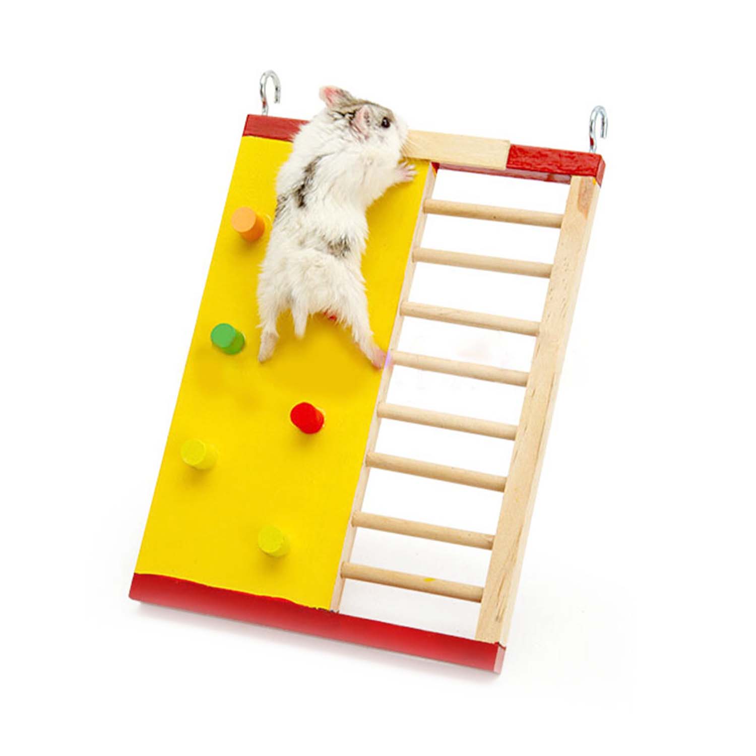 Carno Hamster Rock Climbing Ladder