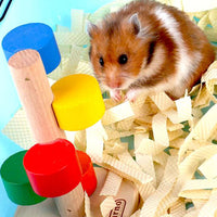 Carno Hamster Round Step Ladder