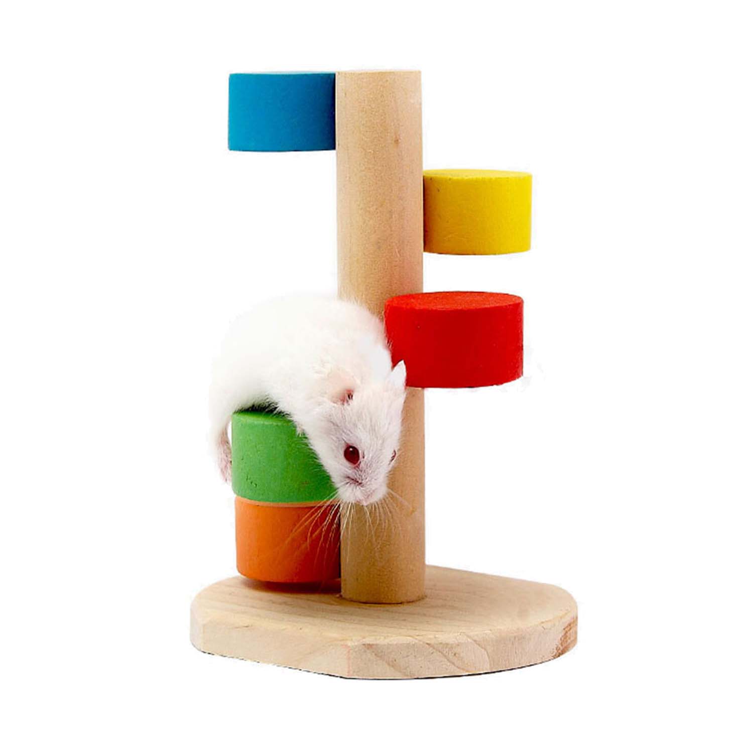 Carno Hamster Round Step Ladder