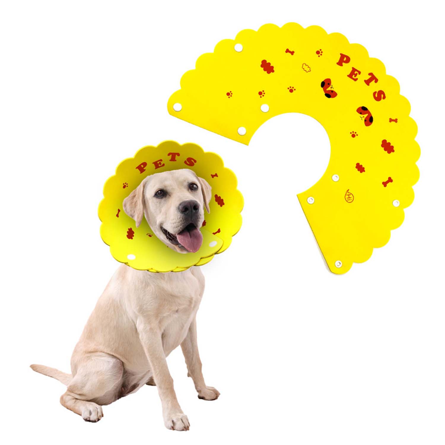 Ps Petstyle Cartoon E-collar