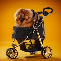 Ibiyaya Monarch Premium Pet Jogger (Gold)