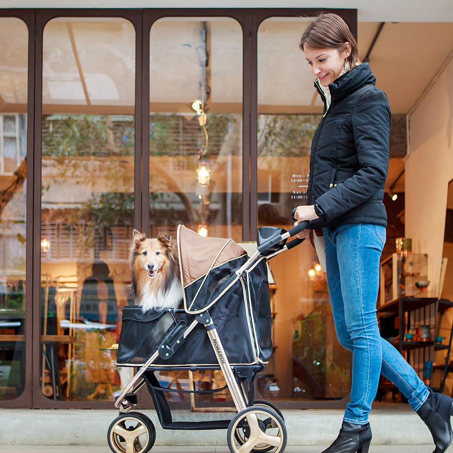 Ibiyaya Monarch Premium Pet Jogger (Gold) – Pets' Station
