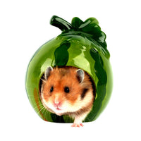 Carno Hamster Ceramic House (Watermelon)