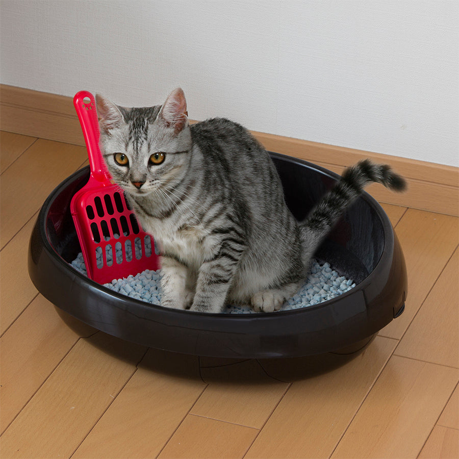 Iris Toilet For Cats PNE (Black)