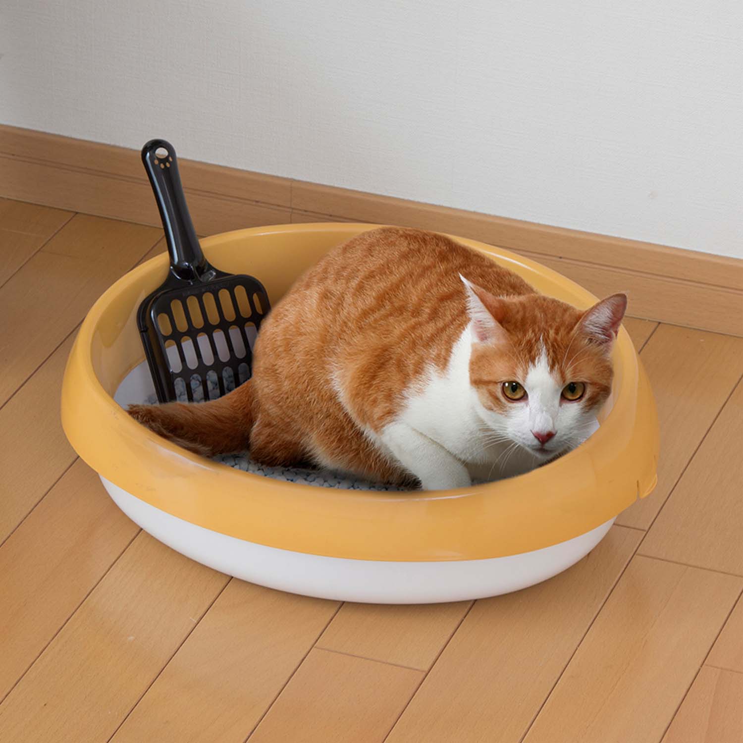 Iris Toilet For Cats PNE (Orange)