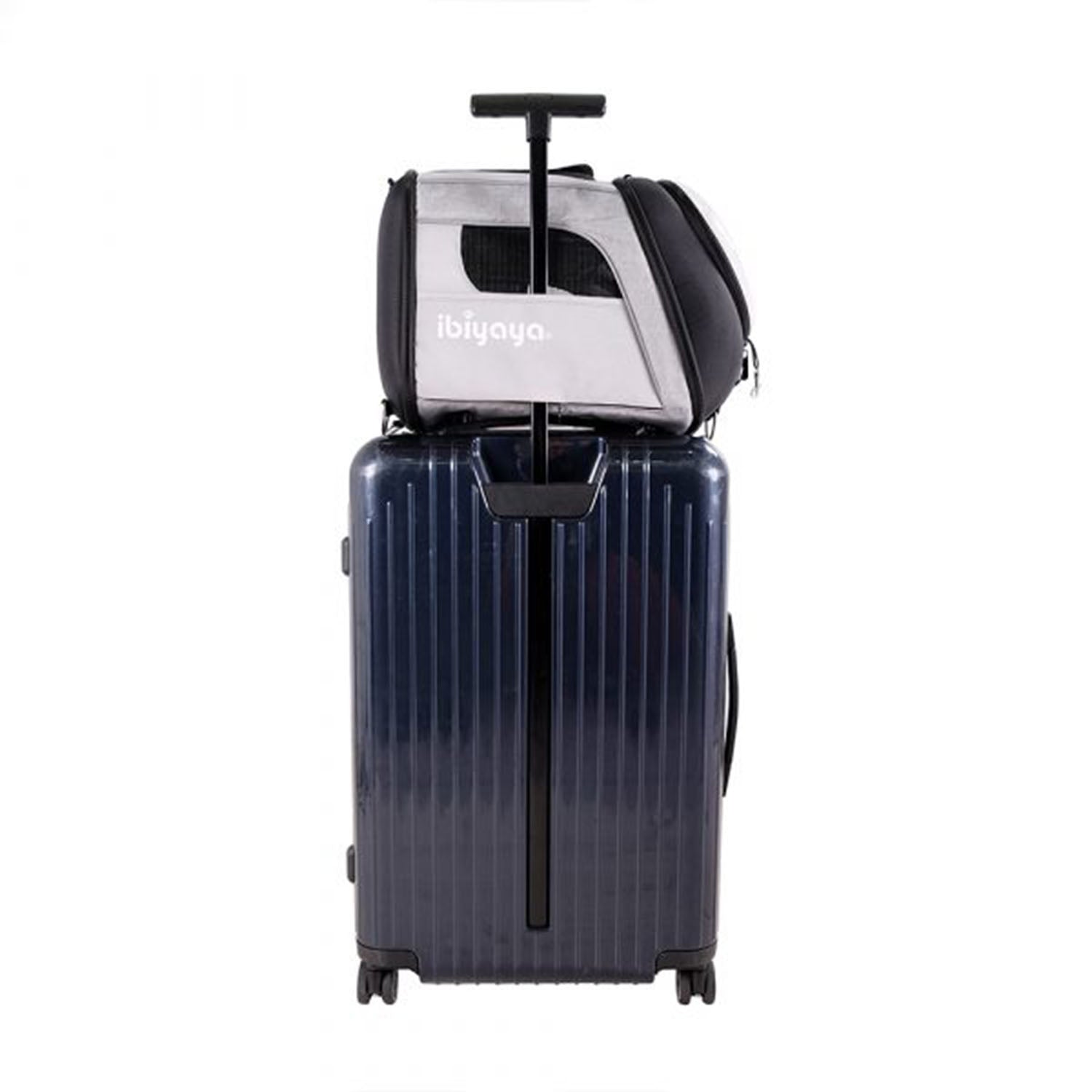 Ibiyaya Explorer Airline Transparent Pet Carrier Plus