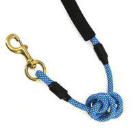 2gather Nylon Pet Leash (Blue)