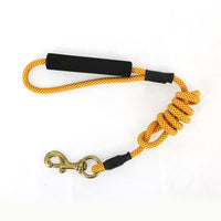 2gather Nylon Pet Leash (Yellow)