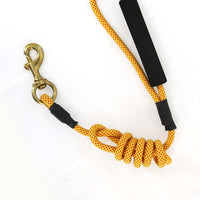 2gather Nylon Pet Leash (Yellow)
