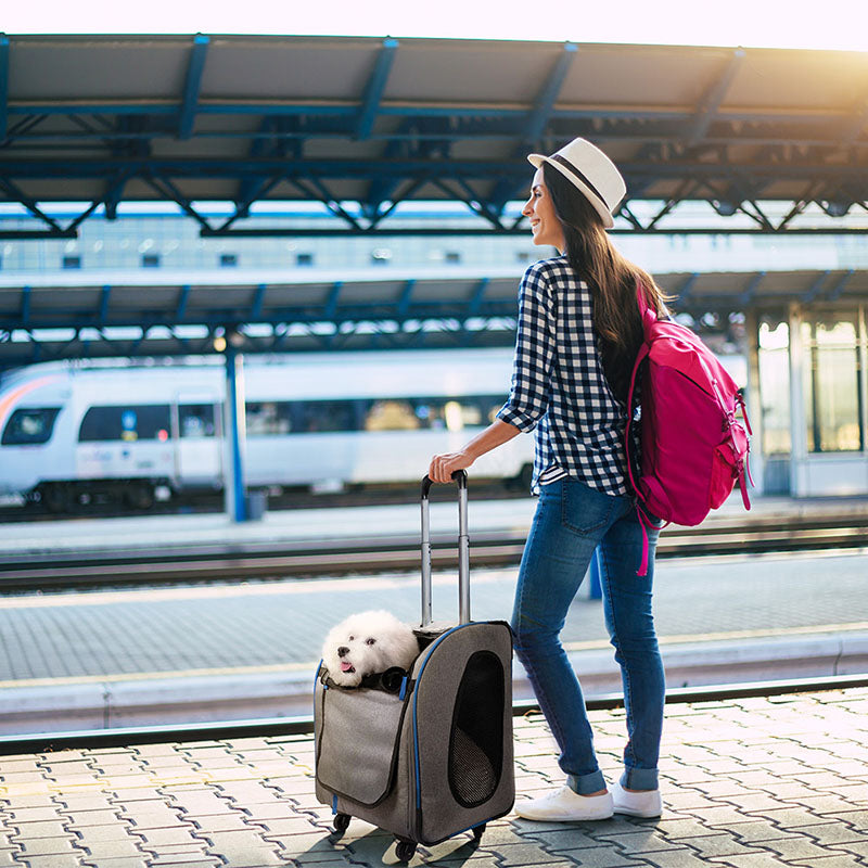 Ibiyaya Liso Backpack Parallel (Slate & Sapphire)