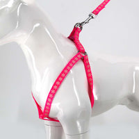 2gather Fluorescent Harness and Lead (Pink)