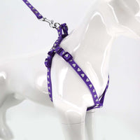 2gather Fluorescent Harness and Lead (Purple)