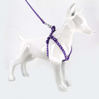 2gather Fluorescent Harness and Lead (Purple)