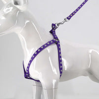 2gather Fluorescent Harness and Lead (Purple)