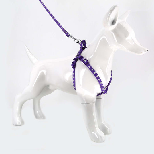 2gather Fluorescent Harness and Lead (Purple)