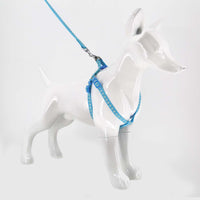2gather Fluorescent Harness and Lead (Blue)