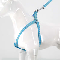 2gather Fluorescent Harness and Lead (Blue)