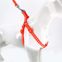 2gather Fluorescent Harness and Lead (Orange)