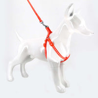 2gather Fluorescent Harness and Lead (Orange)