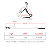 2gather Fluorescent Harness and Lead (Orange)