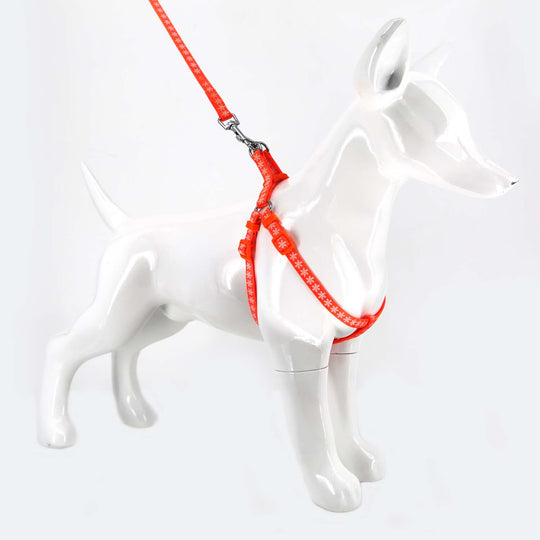 2gather Fluorescent Harness and Lead (Orange)
