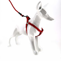 2gather Harness and Lead with Sponge Handle (Red)