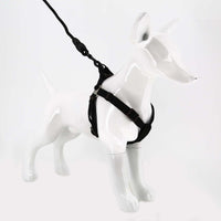 2gather Harness and Lead with Sponge Handle (Black)