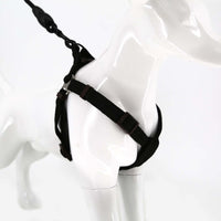 2gather Harness and Lead with Sponge Handle (Black)