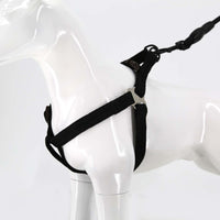 2gather Harness and Lead with Sponge Handle (Black)