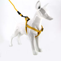 2gather Harness and Lead with Sponge Handle (Yellow)