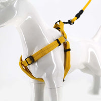 2gather Harness and Lead with Sponge Handle (Yellow)