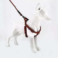 2gather Harness and Lead with Sponge Handle (Brown)