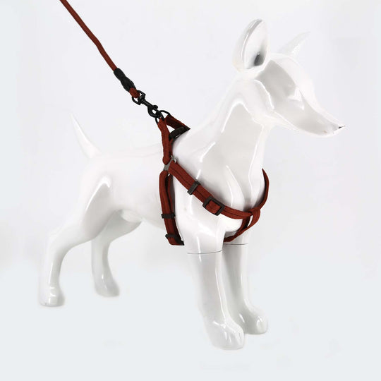 2gather Harness and Lead with Sponge Handle (Brown)