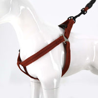 2gather Harness and Lead with Sponge Handle (Brown)