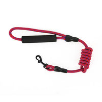 2gather Nylon Pet Leash (Red)