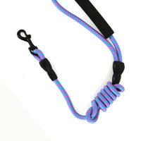 2gather Nylon Pet Leash (Light Blue)