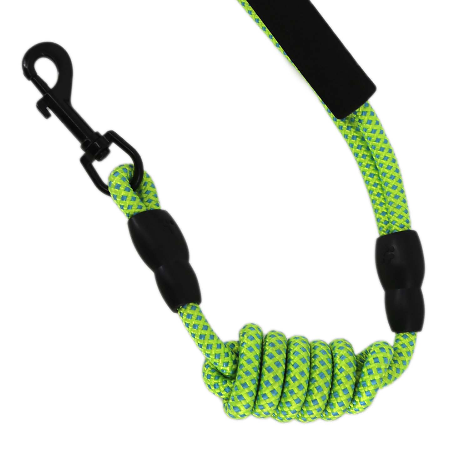 2gather Nylon Pet Leash (Green)
