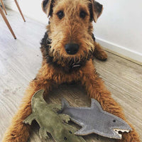 Outback Tails Shazza the Shark Dog Toy