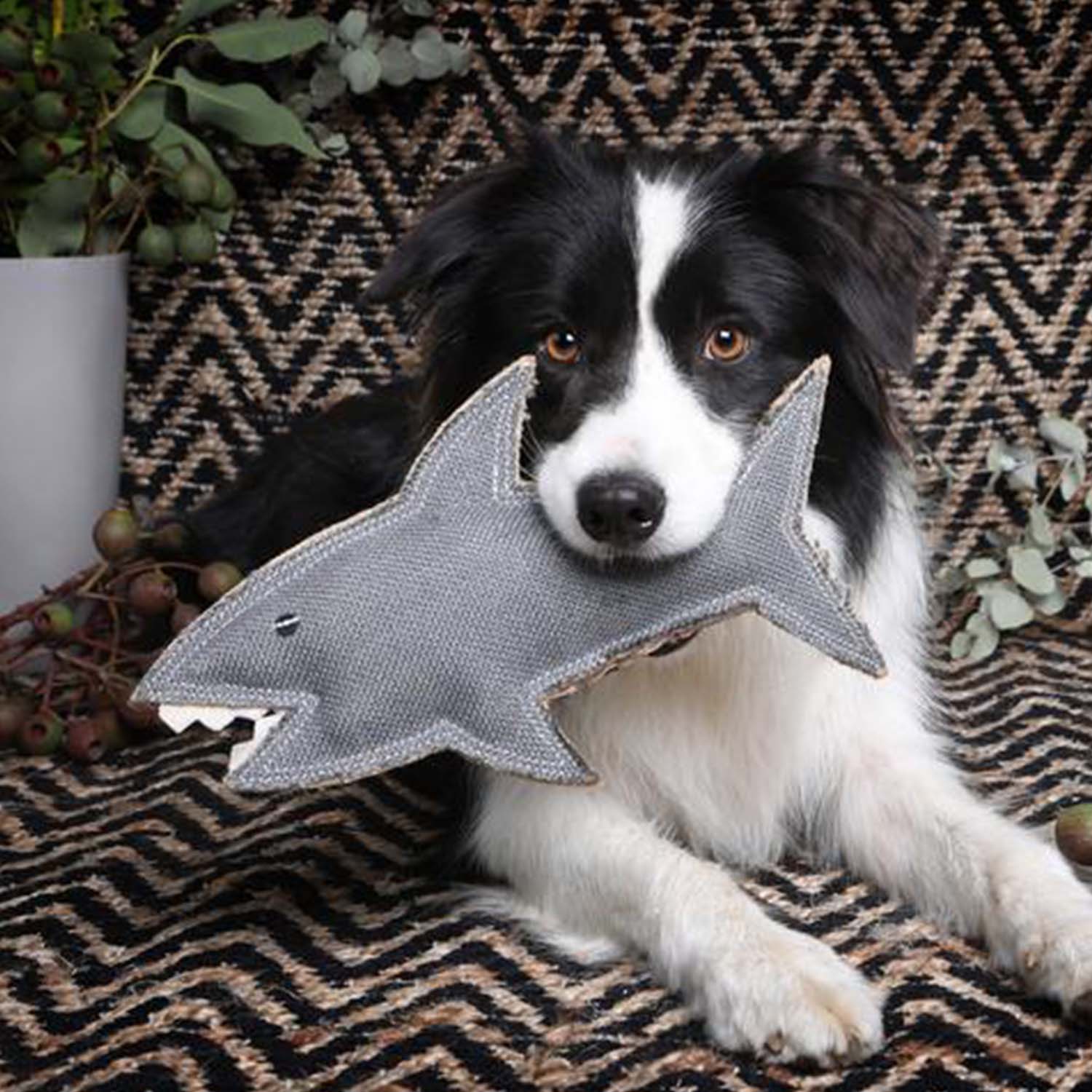 Outback Tails Shazza the Shark Dog Toy