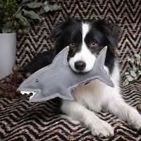 Outback Tails Shazza the Shark Dog Toy