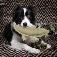 Outback Tails Steve the Crocodile Dog Toy