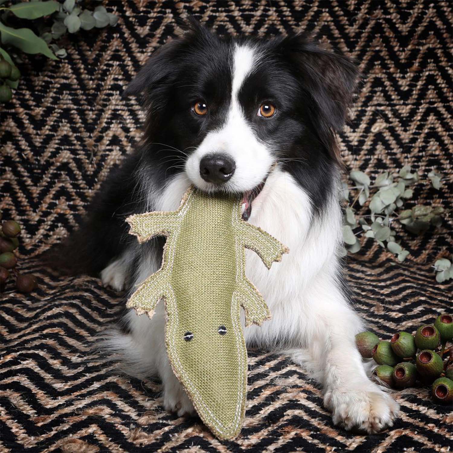 Outback Tails Steve the Crocodile Dog Toy