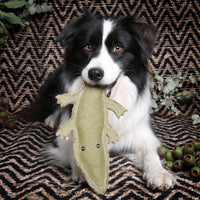 Outback Tails Steve the Crocodile Dog Toy