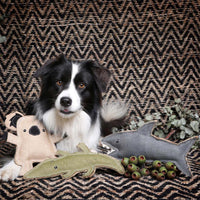 Outback Tails Steve the Crocodile Dog Toy