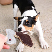 Outback Tails Ernie the Emu Dog Toy