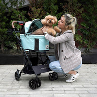 Ibiyaya Travois Tri-fold Pet Travel System (Spearmint)