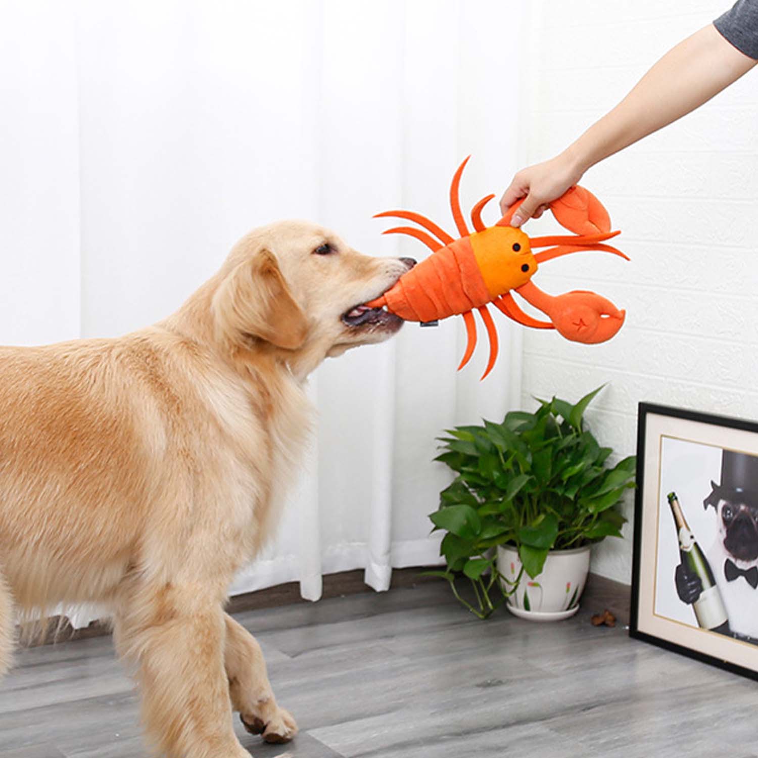 Doglemi Lobster Snuffle Plush Toy